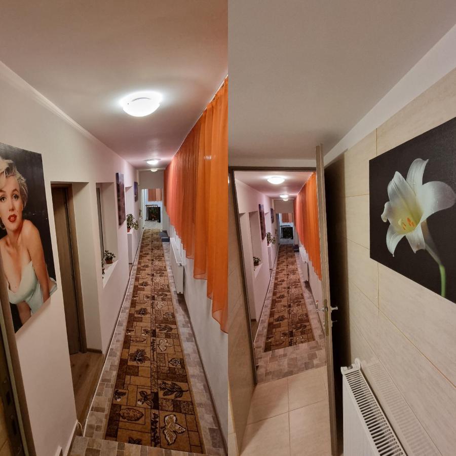 Roca House Villa Brasov Luaran gambar