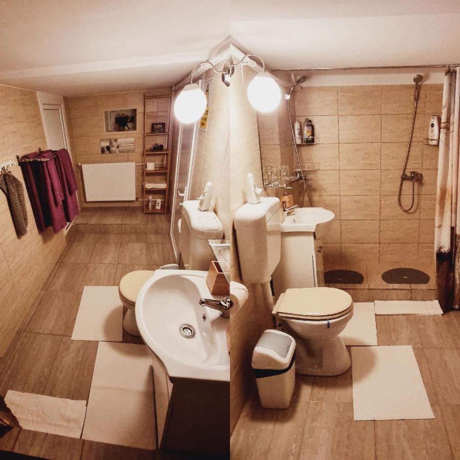 Roca House Villa Brasov Luaran gambar
