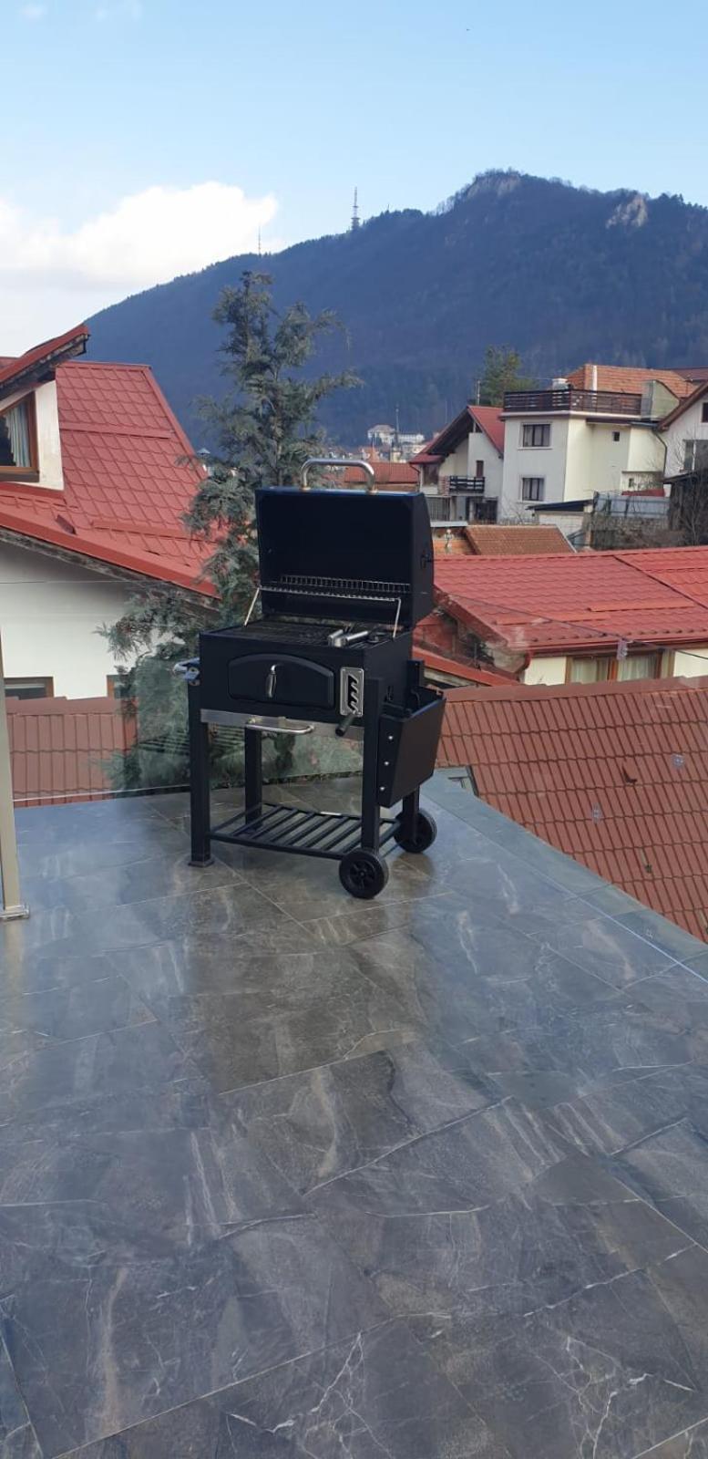 Roca House Villa Brasov Luaran gambar